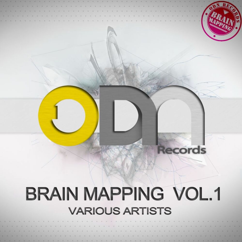 Picture of Brain Mapping Vol 1