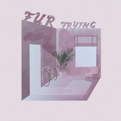 Cover of Trying
