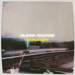 music cover