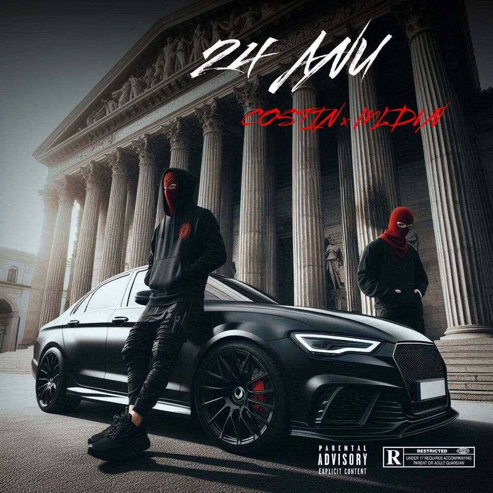 Picture of 24Anu (feat. MLDVN)