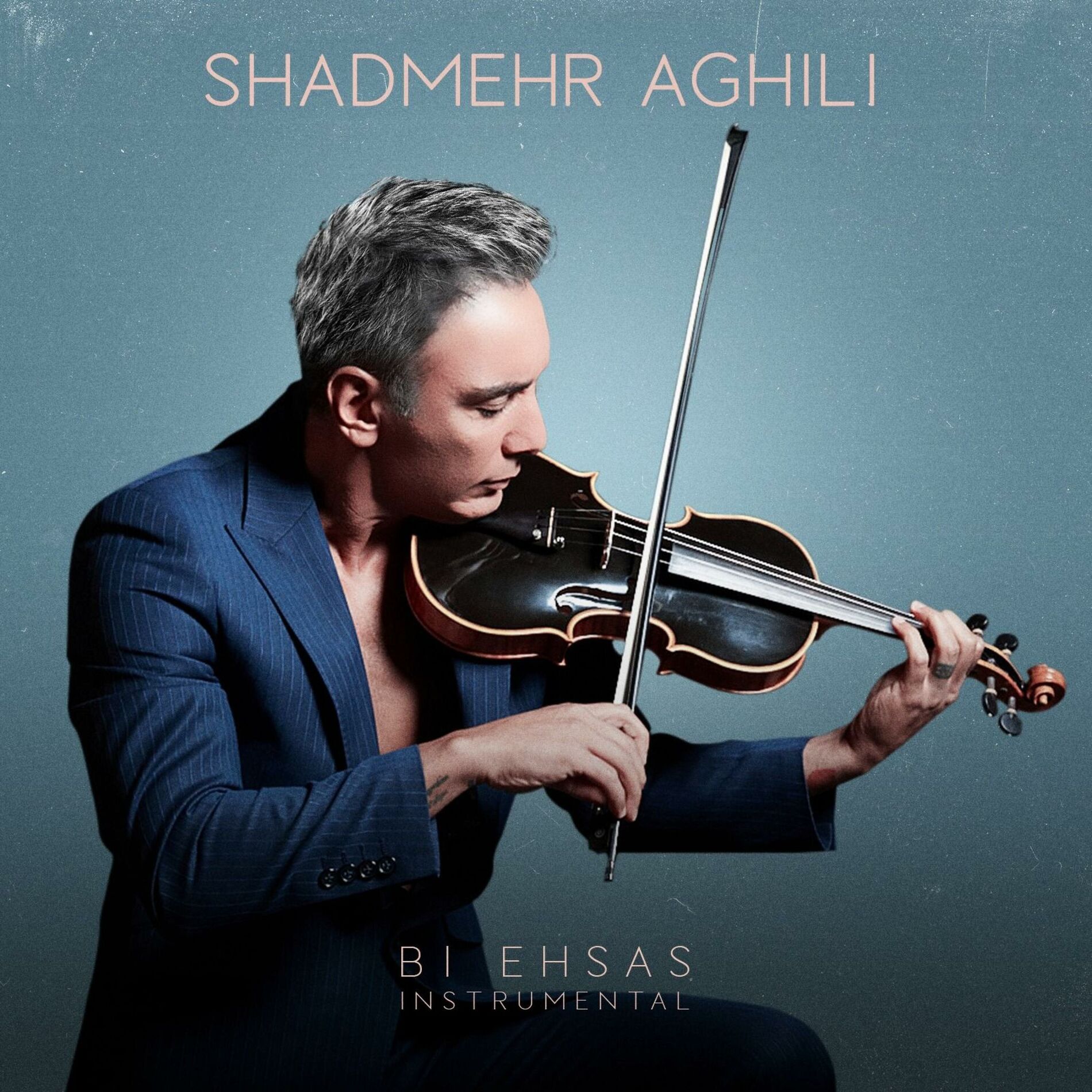 Album cover of Bi Ehsas (Instrumental)