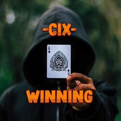 Cover of Winning