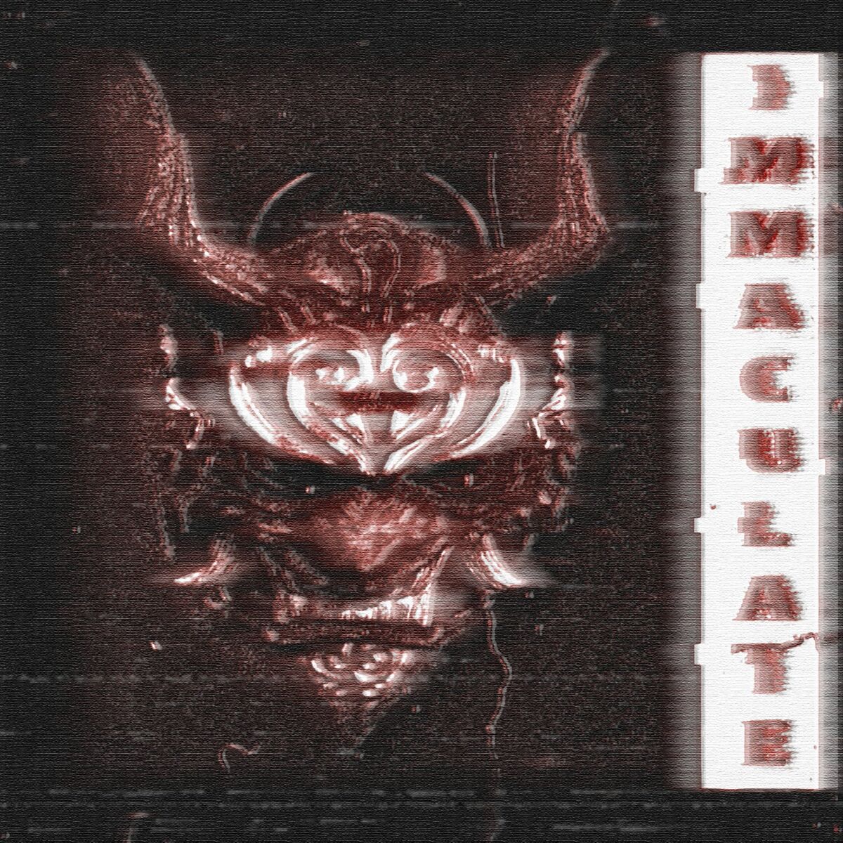Album cover of IMMACULATE