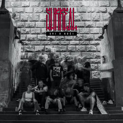 Descargar U Krug - Zli Toni MP3