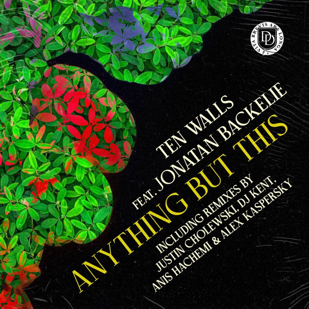 Album cover of Anything But This
