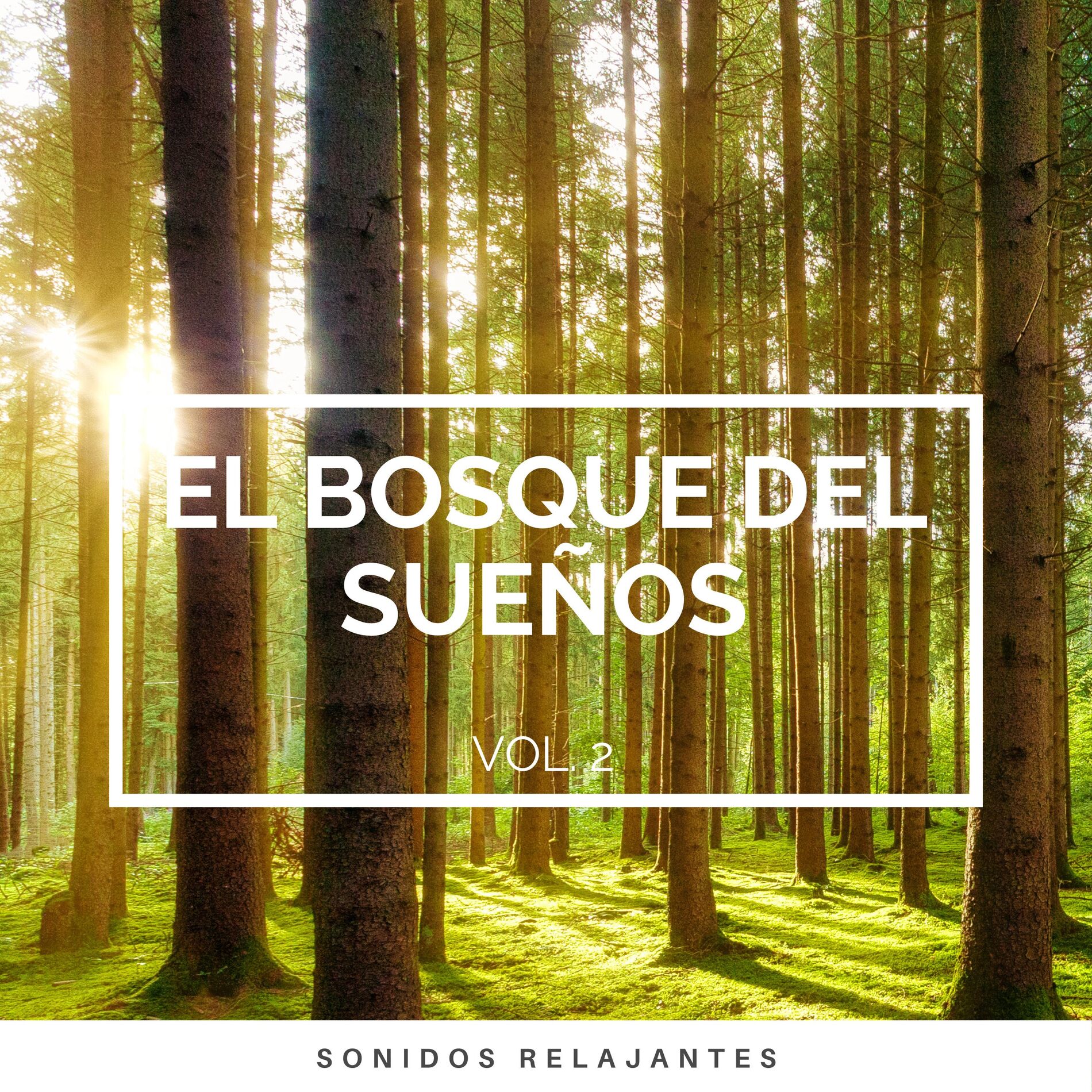 Album cover of 1 Bosque del Sueños vol. 2