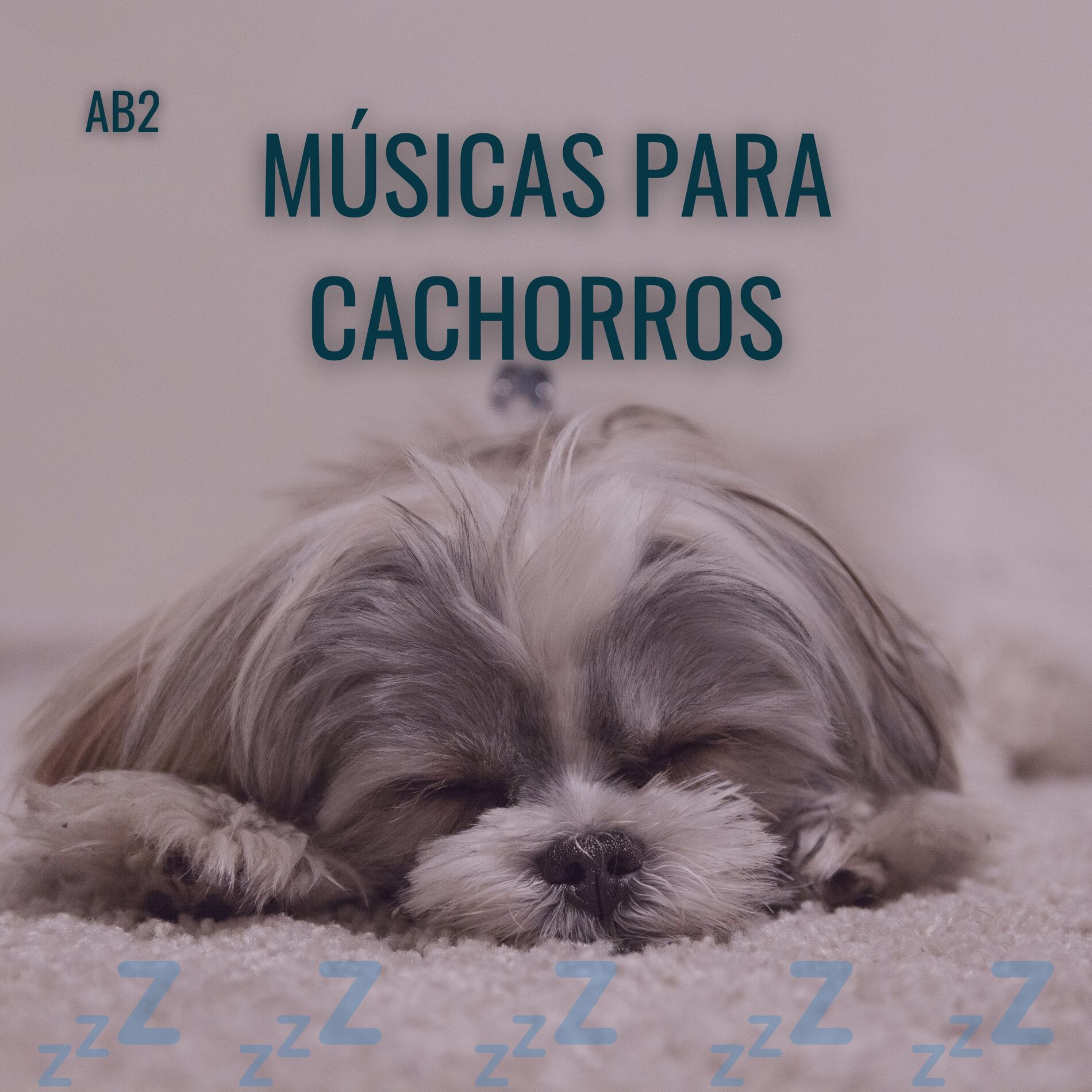 Album cover of Musica para Cachorro Relaxar