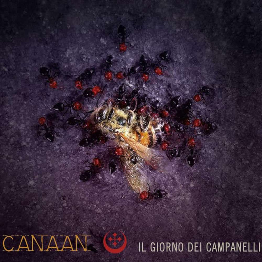 Pochette Il giorno dei campanelli