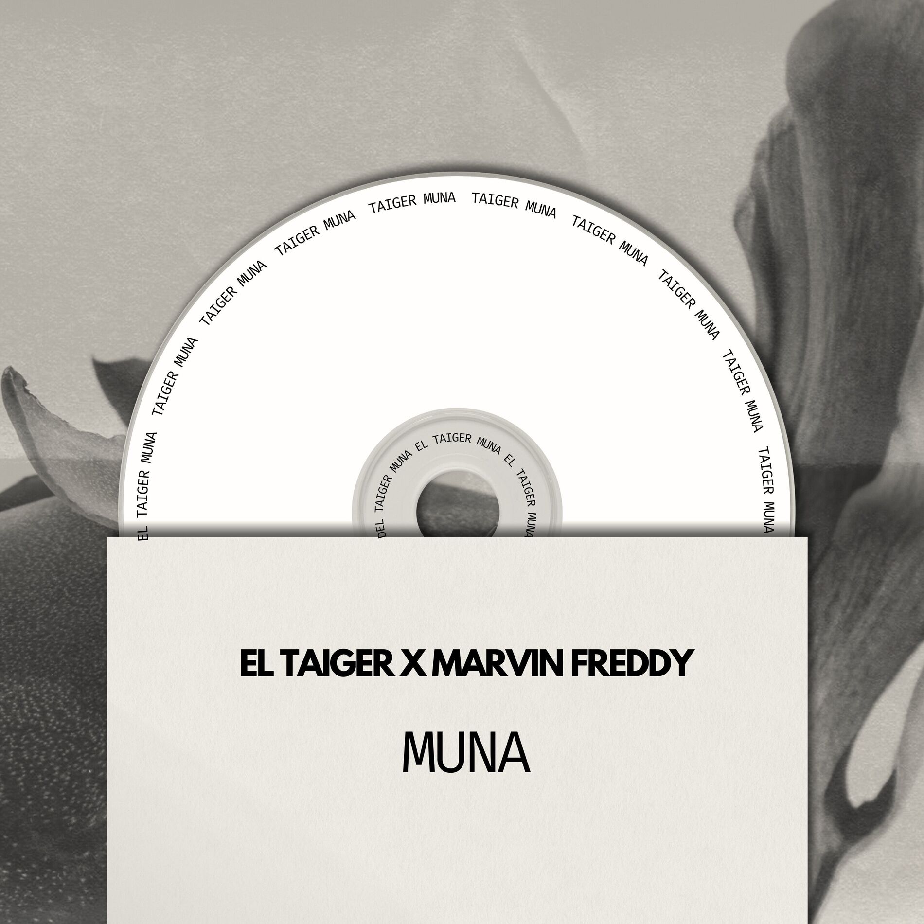 Album cover of Muna