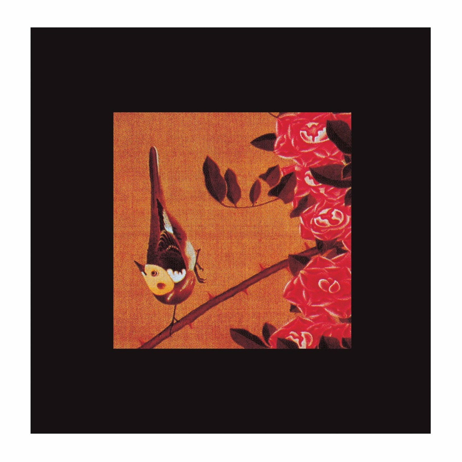 Album cover of The Boy and The Tree