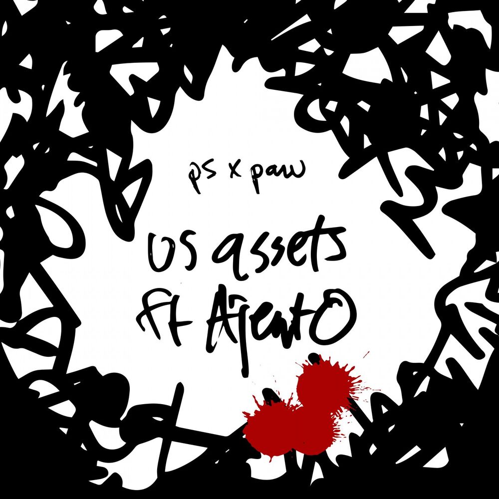 Picture of Us Assets