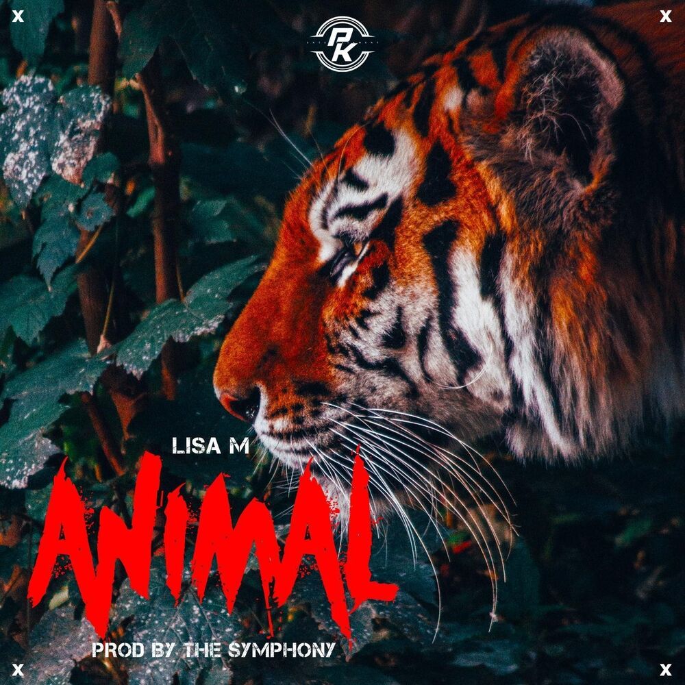Picture of Animal