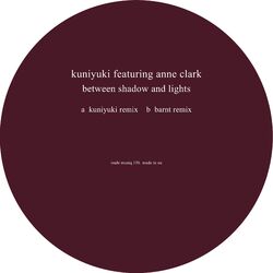 Cover of Between Shadow and Lights