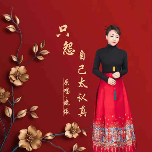 只怨自己太认真 (DJ版)