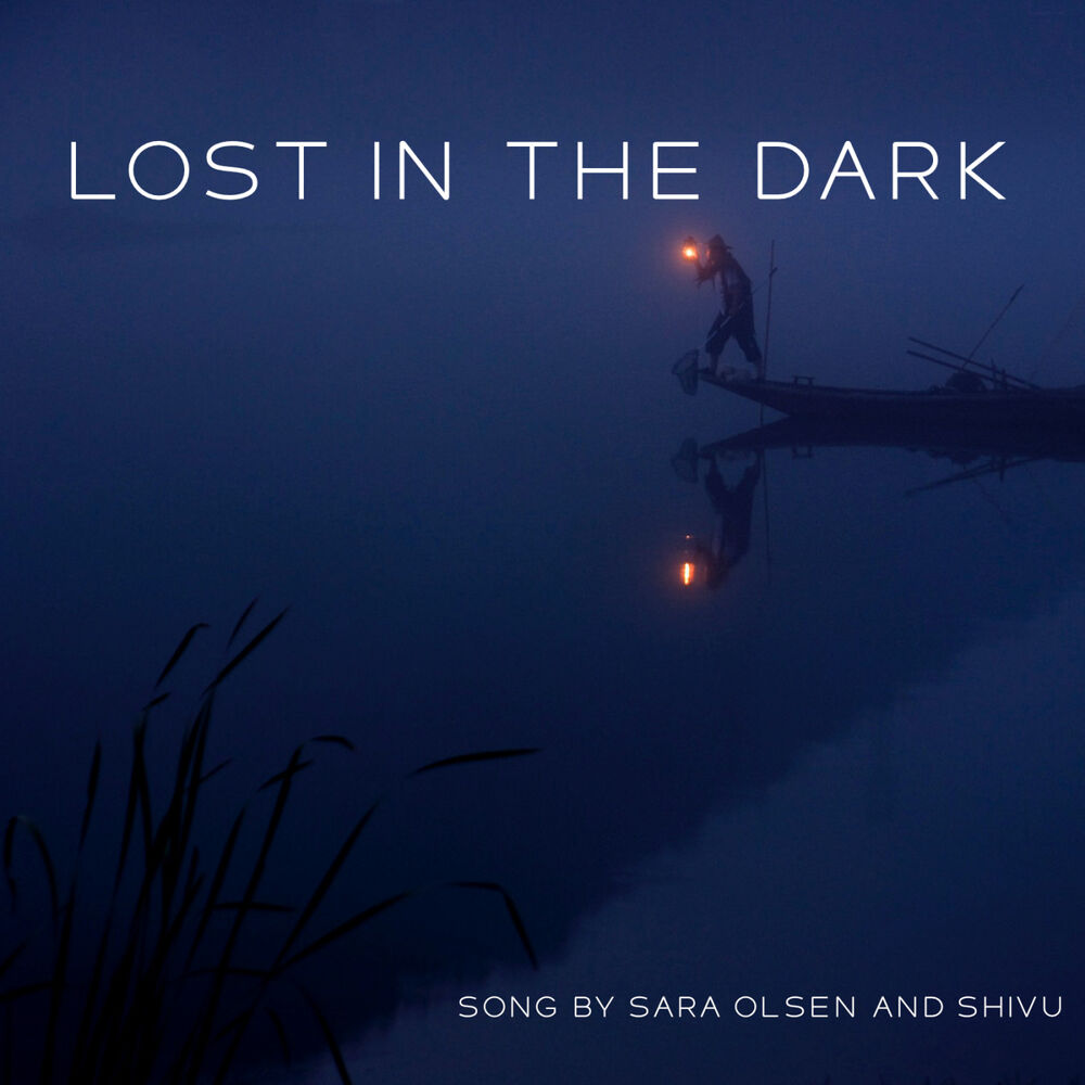 Picture of Lost in the dark