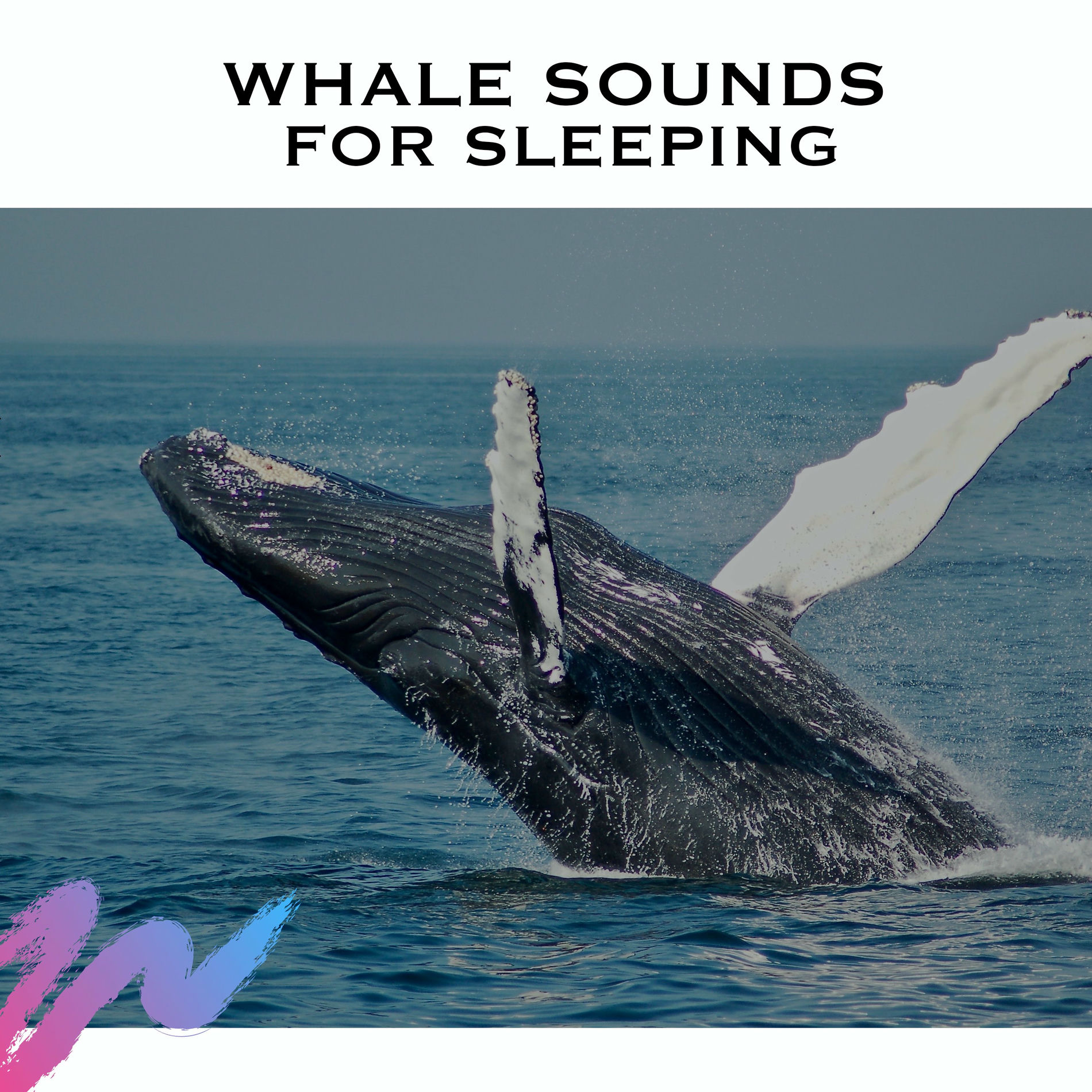 Album cover of Whale Sounds for Sleeping