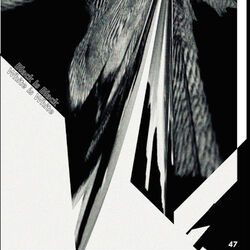 Cover of Black Is Black White Is White