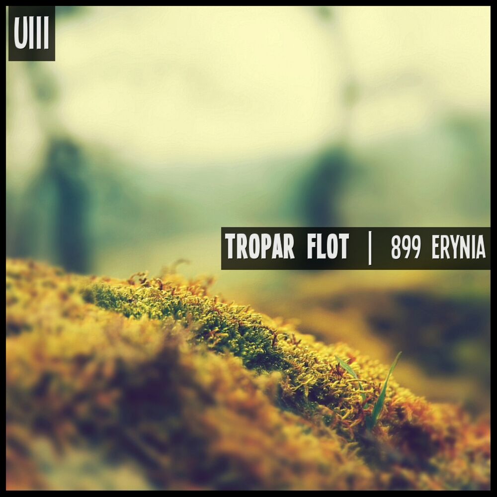 Picture of 899 Erynia