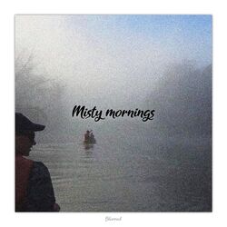 Cover of Misty Mornings
