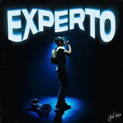 Cover of EXPERTO