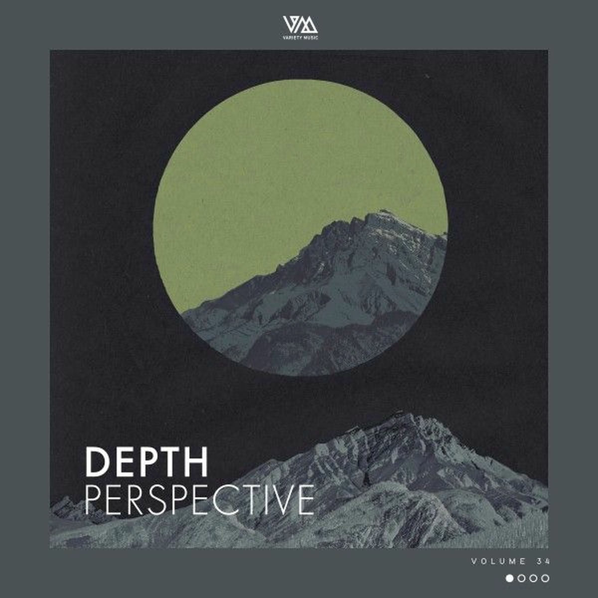 Album cover of Depth Perspective, Vol. 34