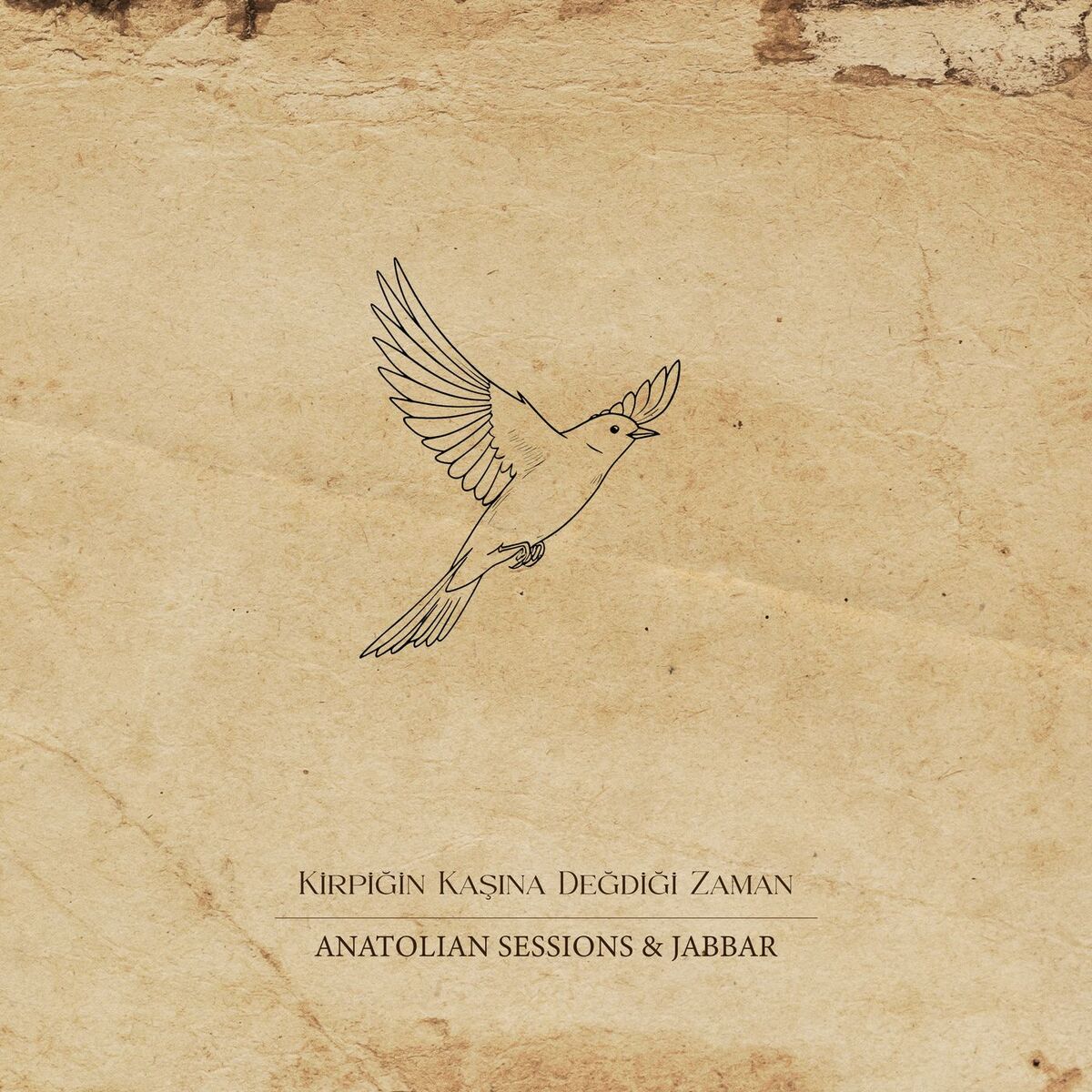 Album cover of Kirpiğin Kaşına Değdiği Zaman