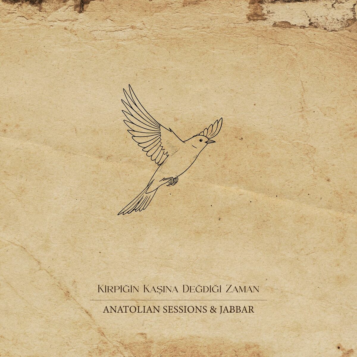 Album cover of Kirpiğin Kaşına Değdiği Zaman