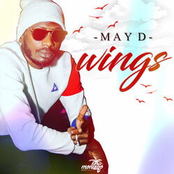 Cover of Wings