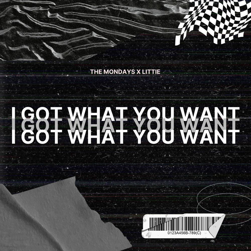 Album artwork for I Got What You Want (feat. Leslie Powell & Kali J) by The Mondays