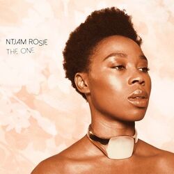 Cover of The One