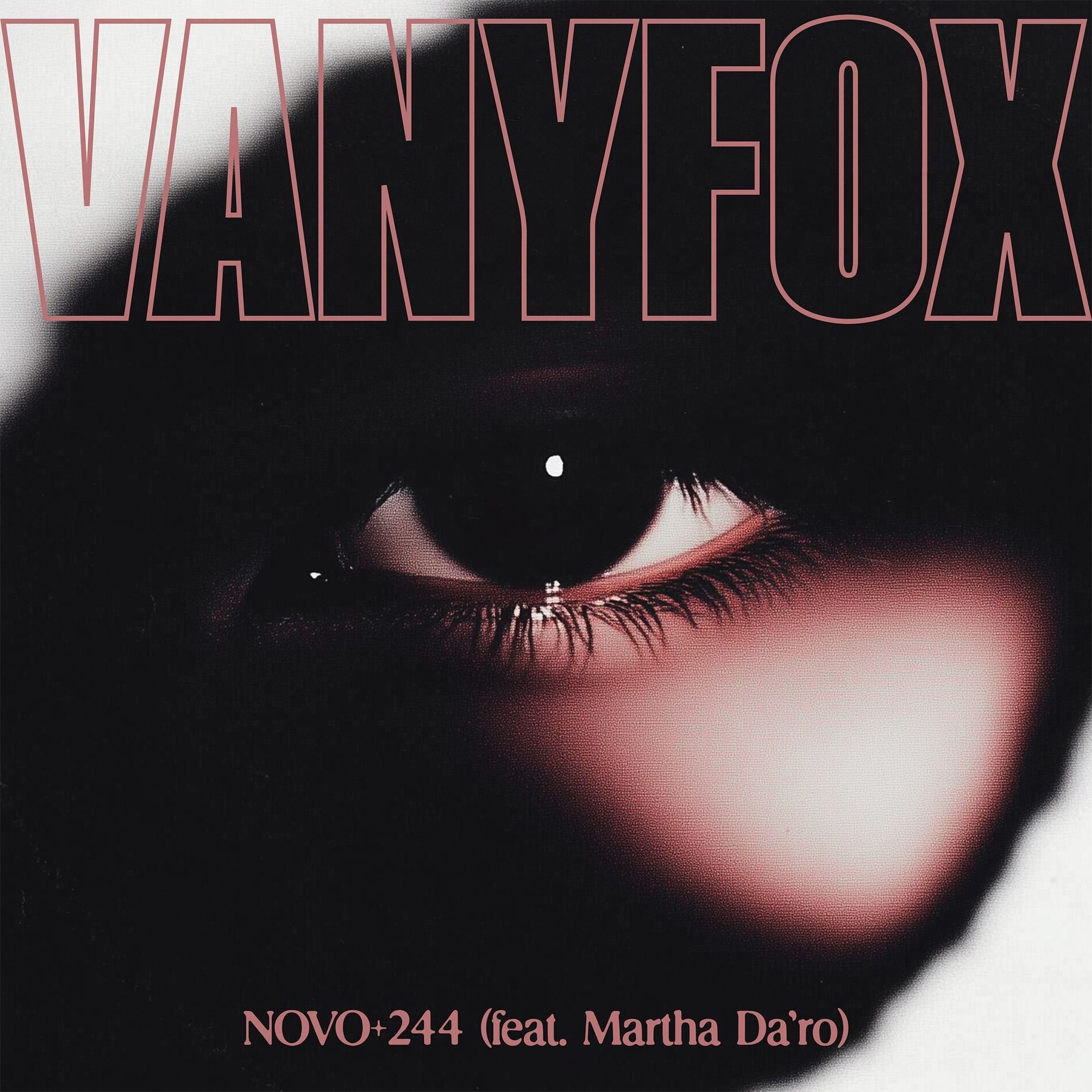 Album cover of Novo +244
