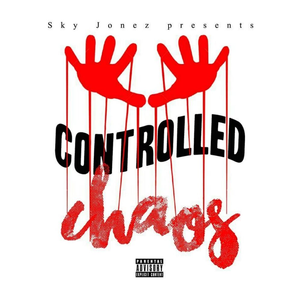 Picture of Controlled Chaos