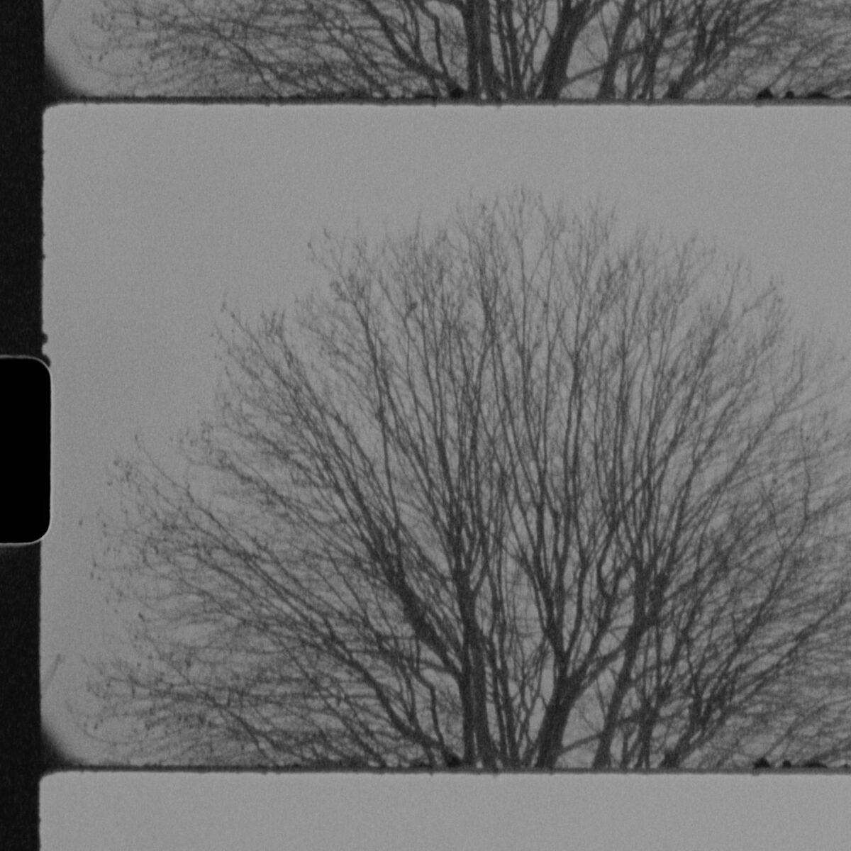 Album cover of Winter