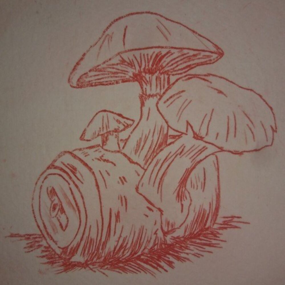 Picture of Cirus Vircule