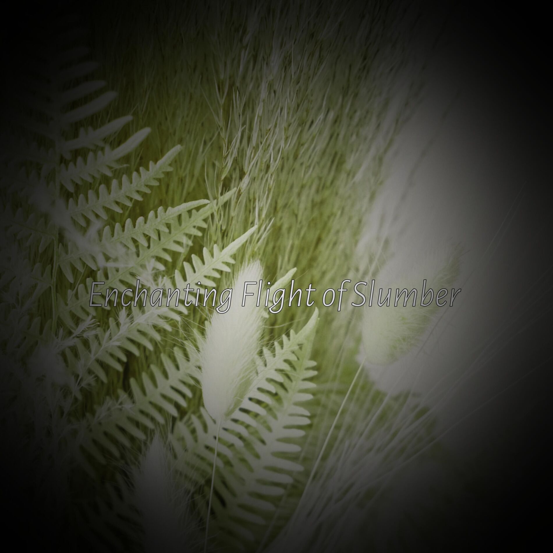 Album cover of Play with the Wind