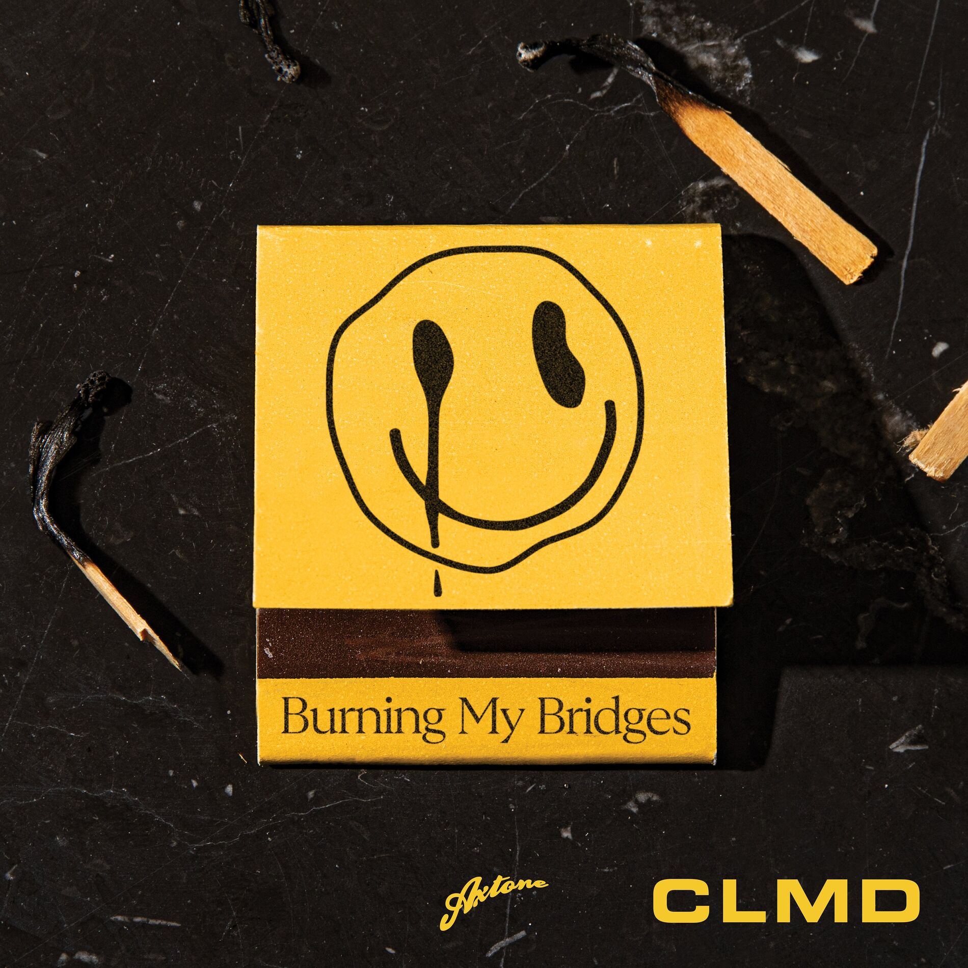 Album cover of Burning My Bridges