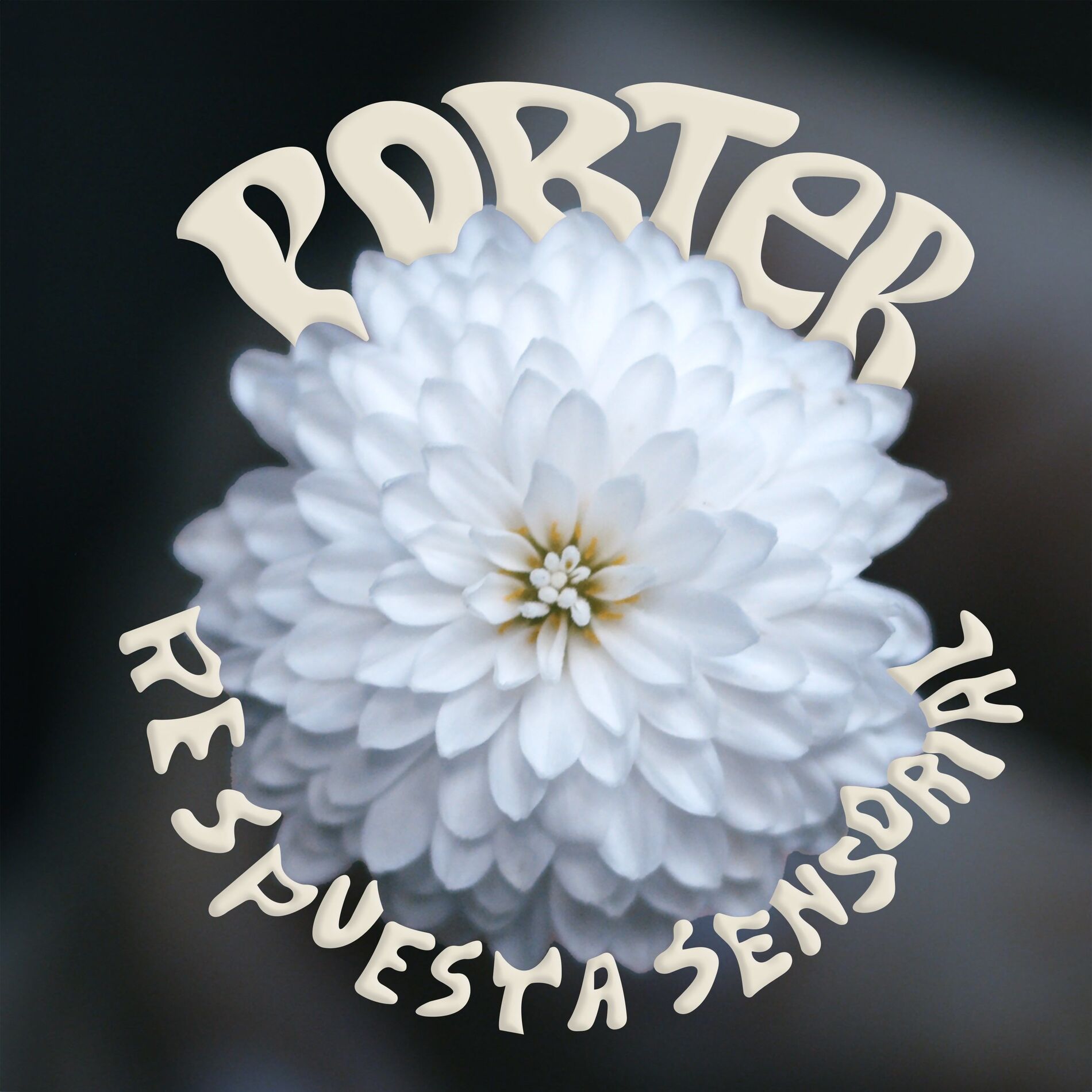Album cover of Respuesta Sensorial