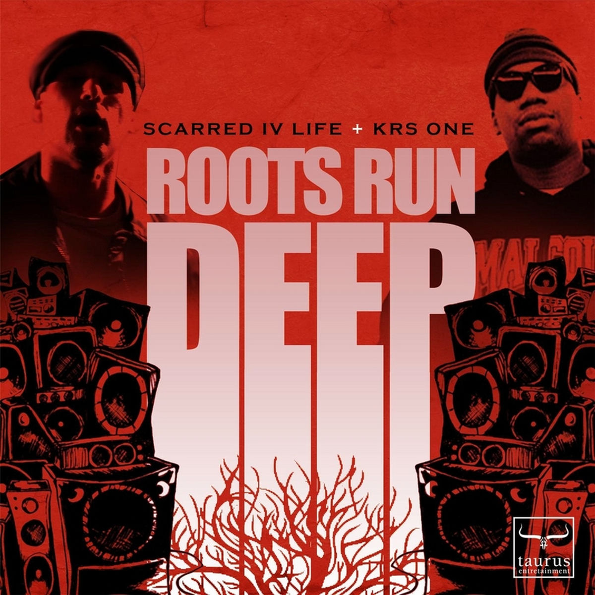 Album cover of Roots Run Deep
