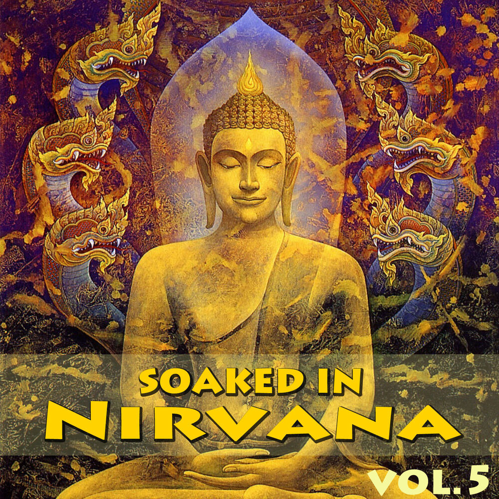 Picture of Soaked In Nirvana, Vol.5