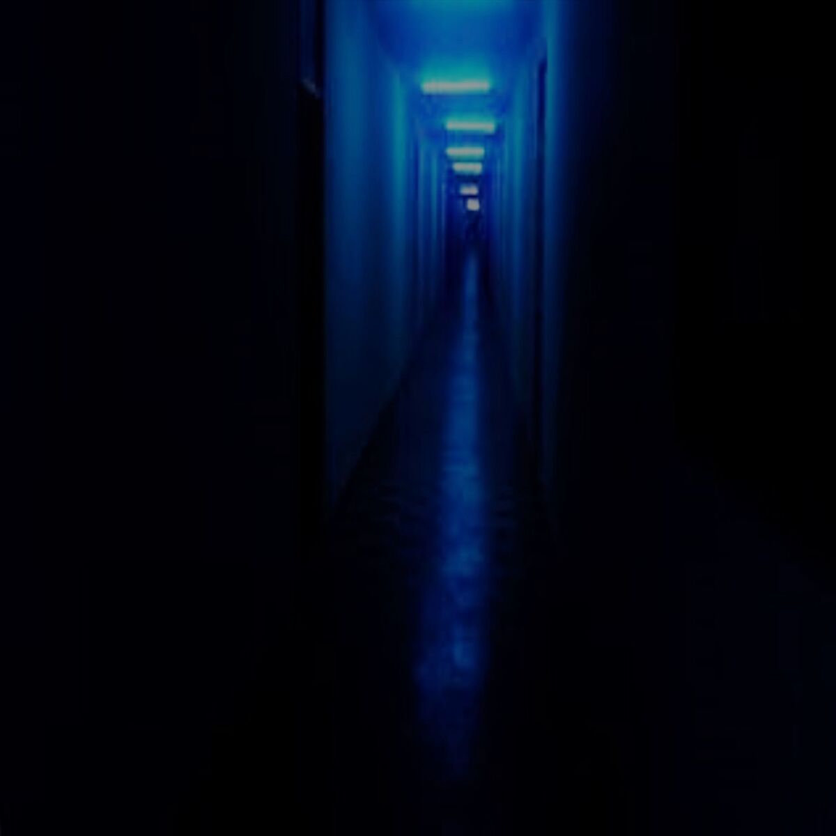 Album cover of Goodbye Forever / Persona Problems