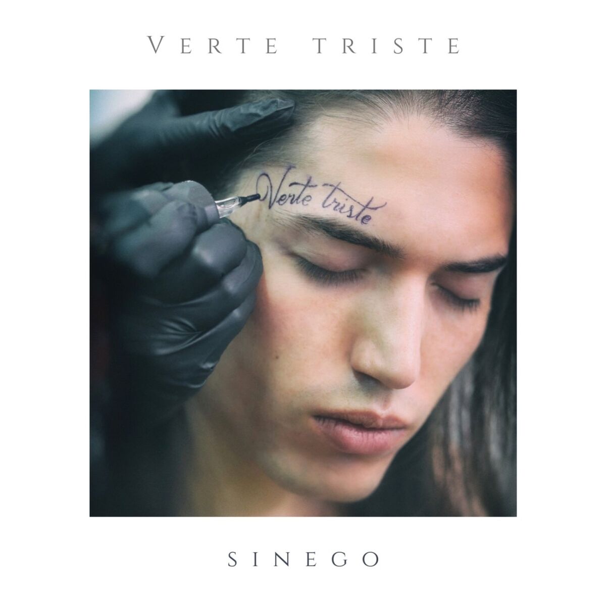 Album cover of Verte Triste