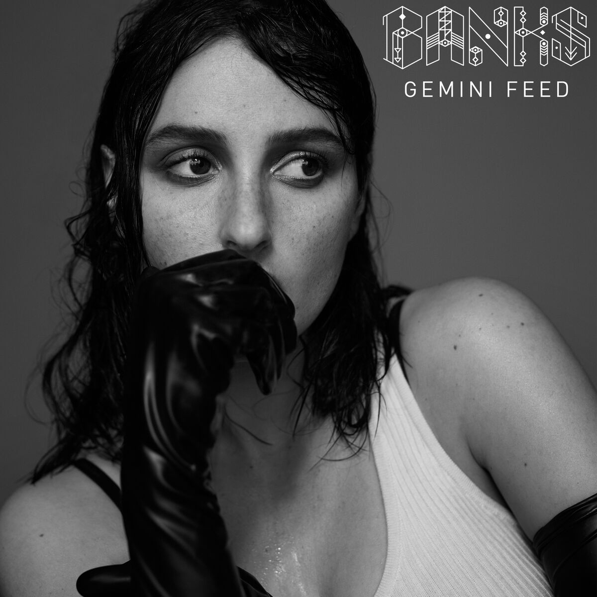 Album cover of Gemini Feed