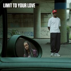 Cover of Limit To Your Love