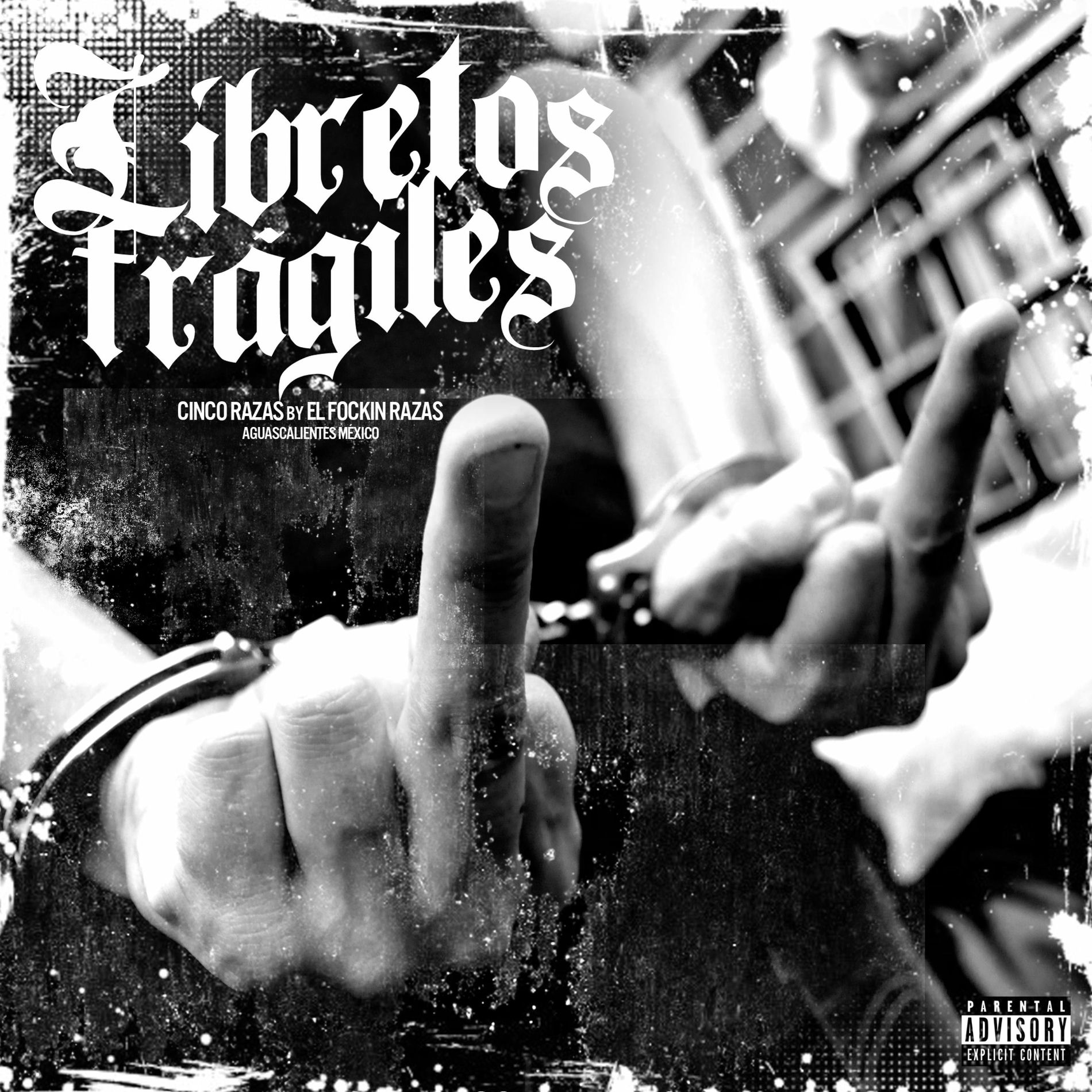 Album cover of Libretos frágiles
