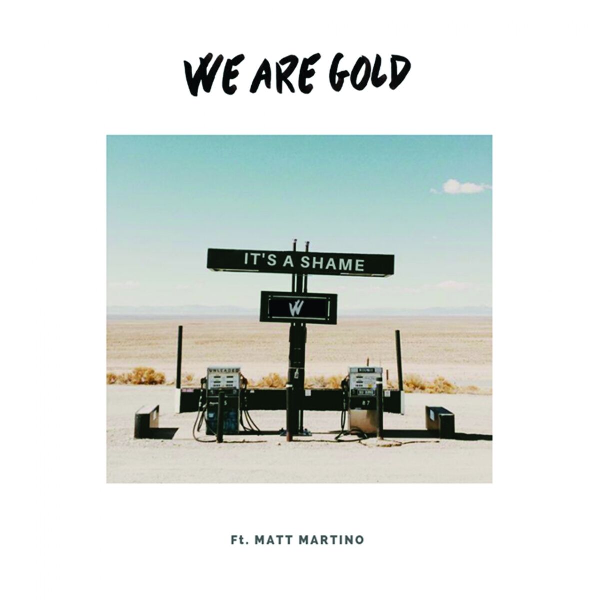 Album cover of It's a Shame