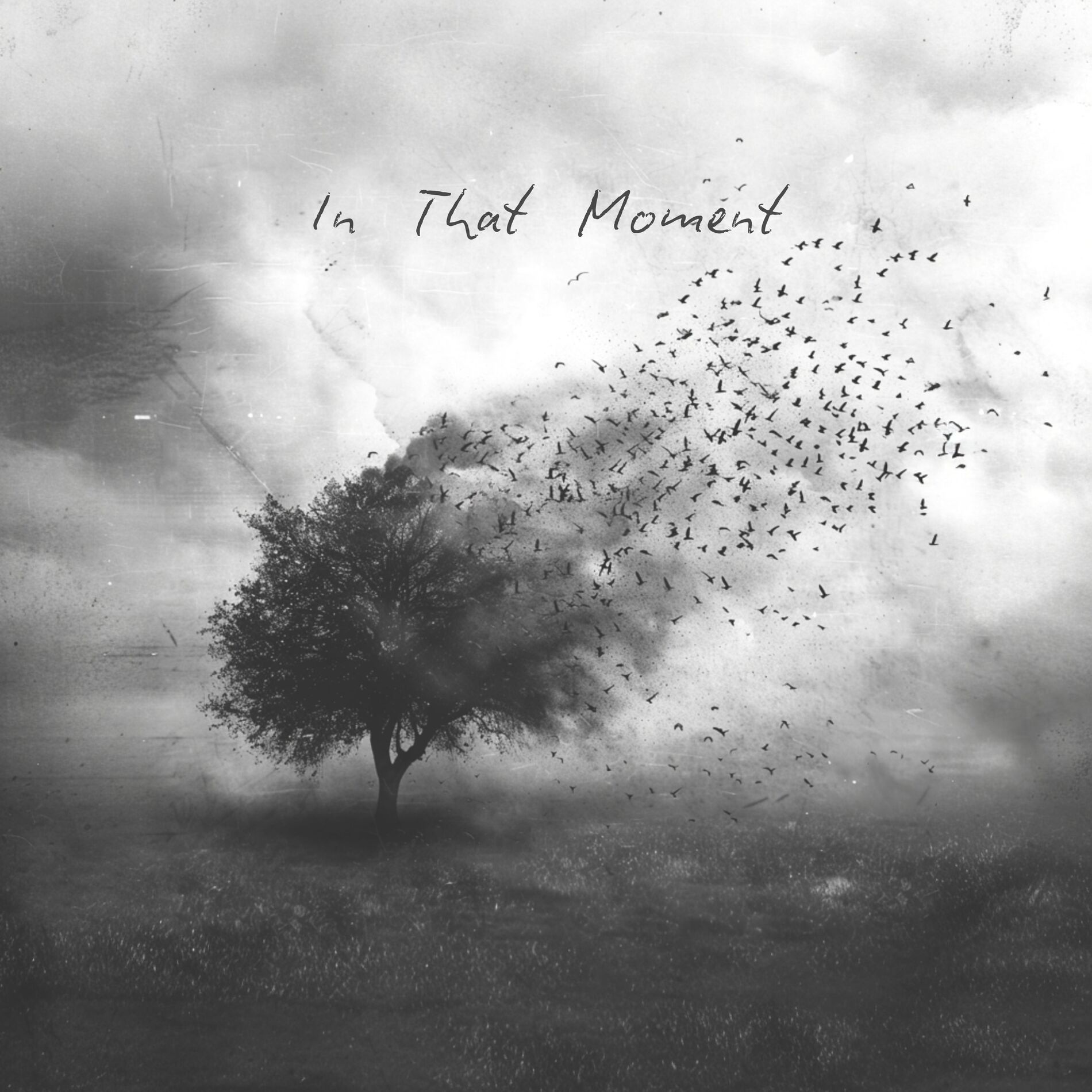 Album cover of In That Moment