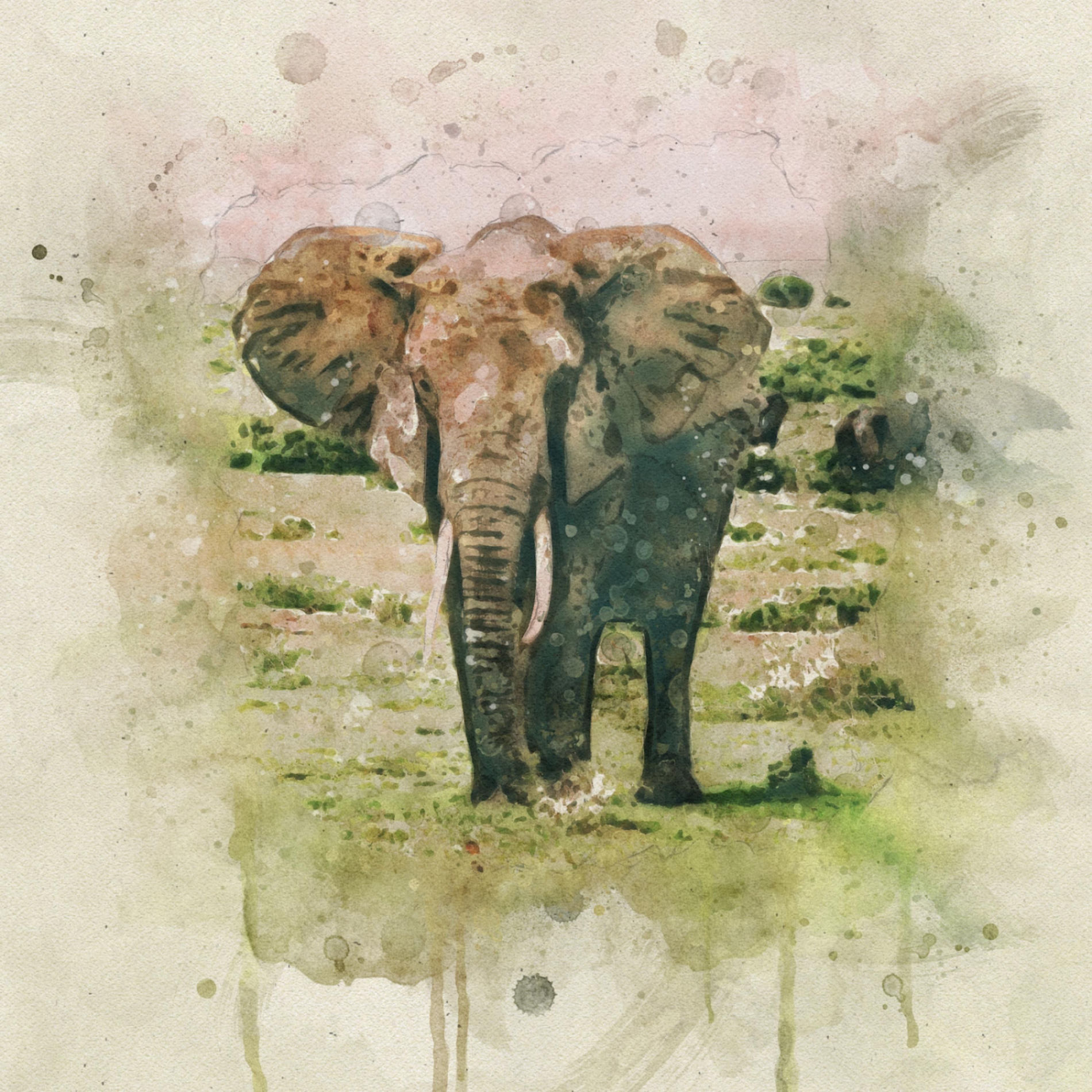 Album cover of Mama Africa