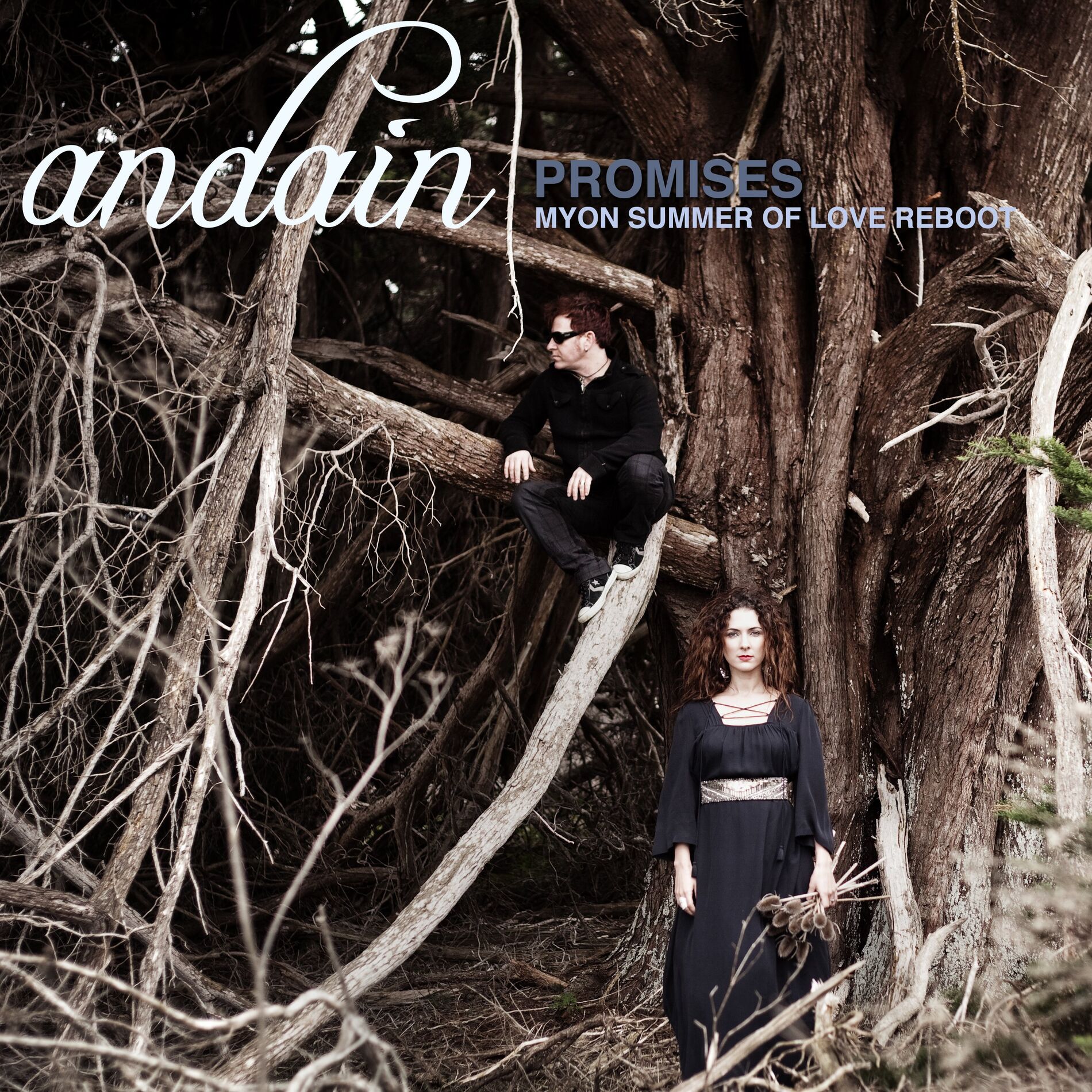Album cover of Promises