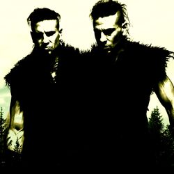 Cover of ANCIENT FOREST