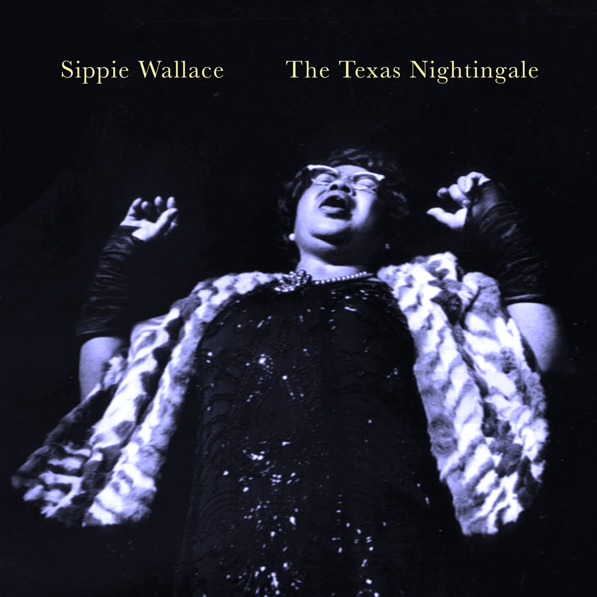 Album cover of The Texas Nightingale